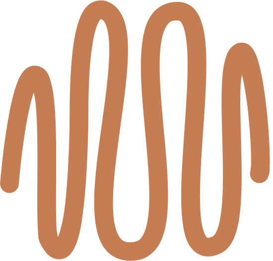 Halo Designs – Canva