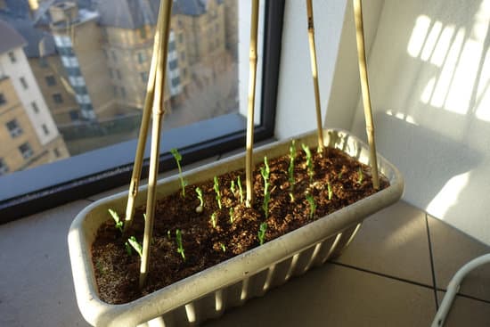 Curated visual reference: Curated Luxury Permaculture Apartments Gallery View 47