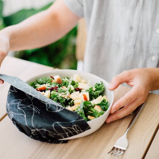 Mark Kohler’s Images – Canva