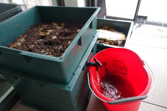 Permaculture Apartment Images Photo Inspiration