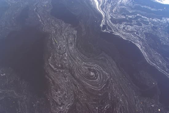 Marine pollution due to Shipping Vessels and Fishing