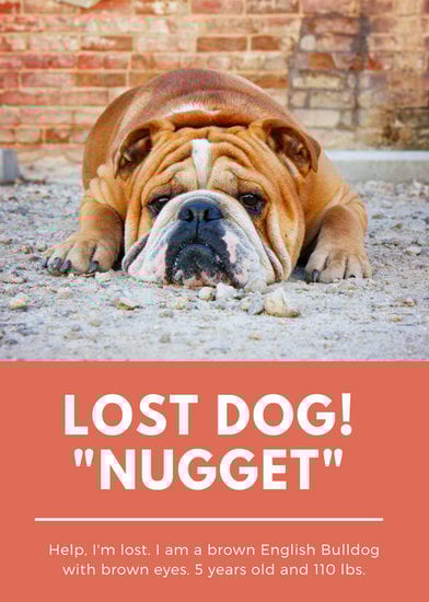 orange photo lost dog flyer templates by canva lost pet flyer