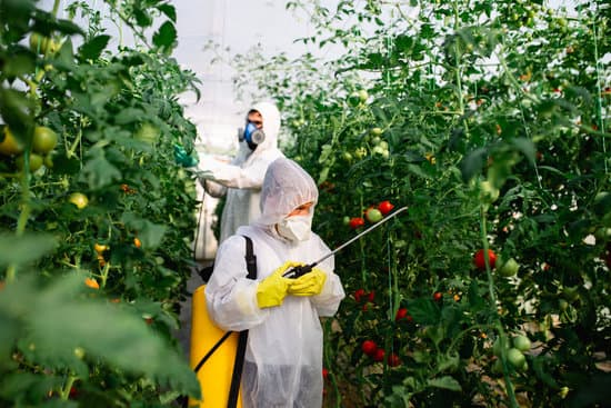 Pesticides
