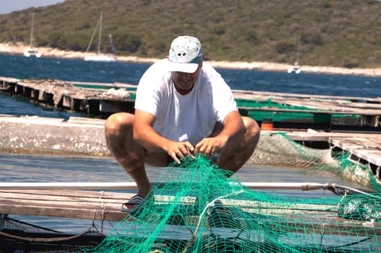 Aquaculture pollution