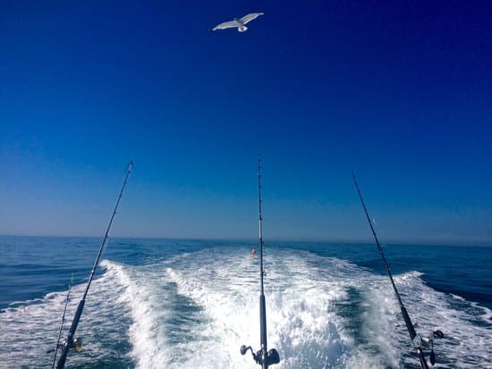 Marine pollution due to Shipping Vessels and Fishing