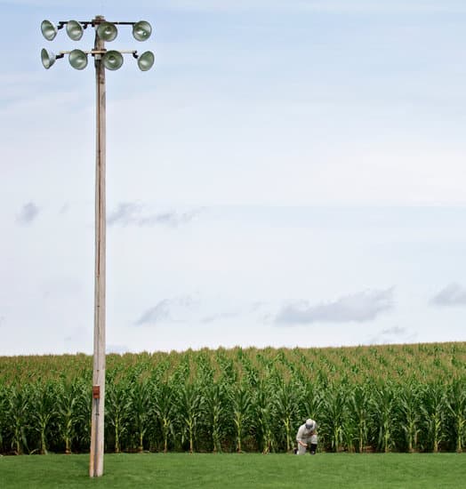 Field of Dreams