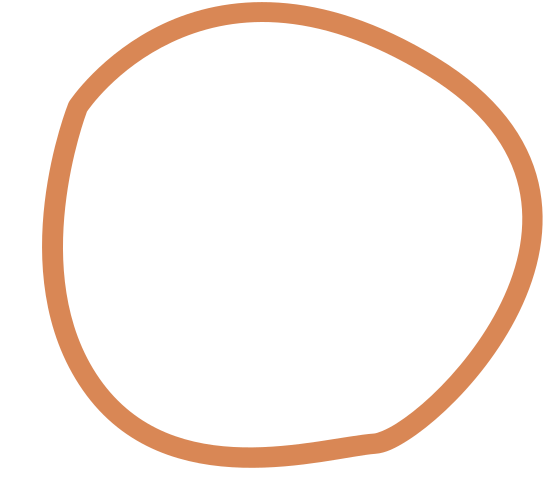 Halo Designs – Canva