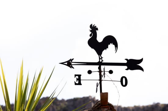 Imágenes de Noelia – Canva