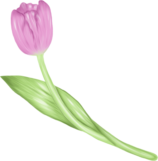 Arashi Good Day Canva