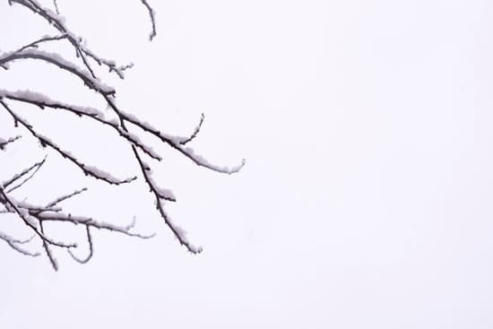 Imágenes de Noelia – Canva