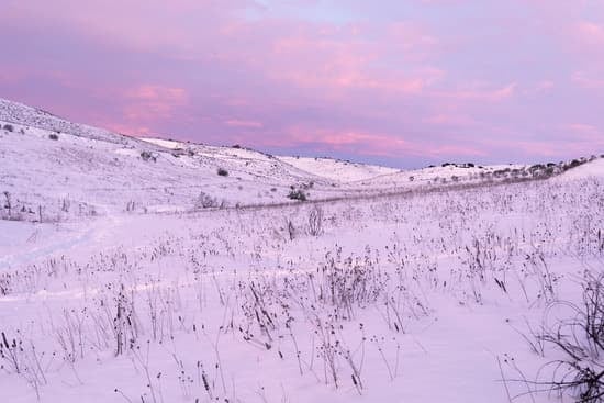 Imágenes de Noelia – Canva