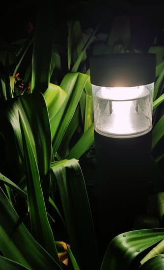 Buying Solar Pond Lights Guides