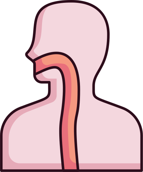 esophagus-cartoon