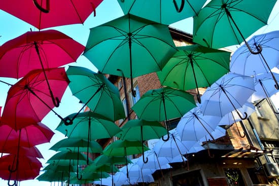 Eugenia Nikolova – Canva