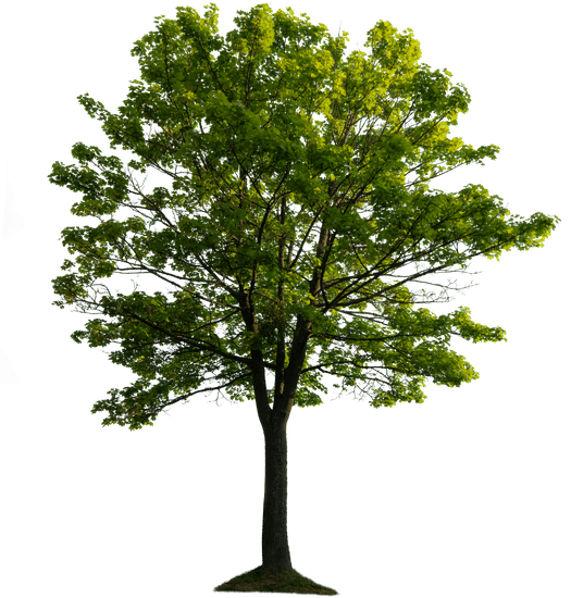 Grp artist a christmas collection