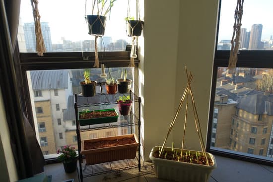 Curated Luxury Permaculture Apartments Gallery View