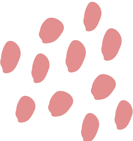 Halo Designs – Canva