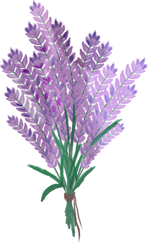 Lavender Icon